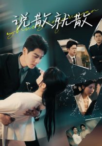 说散就散全集(大结局)