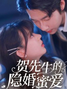 贺先生的隐婚蜜爱(全集)