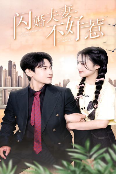 闪婚夫妻不好惹全集(大结局)